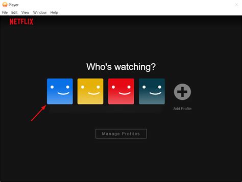 Pazu Netflix Video Downloader